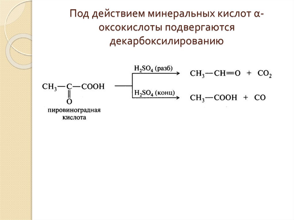 Гетерофункциональные кислоты презентация