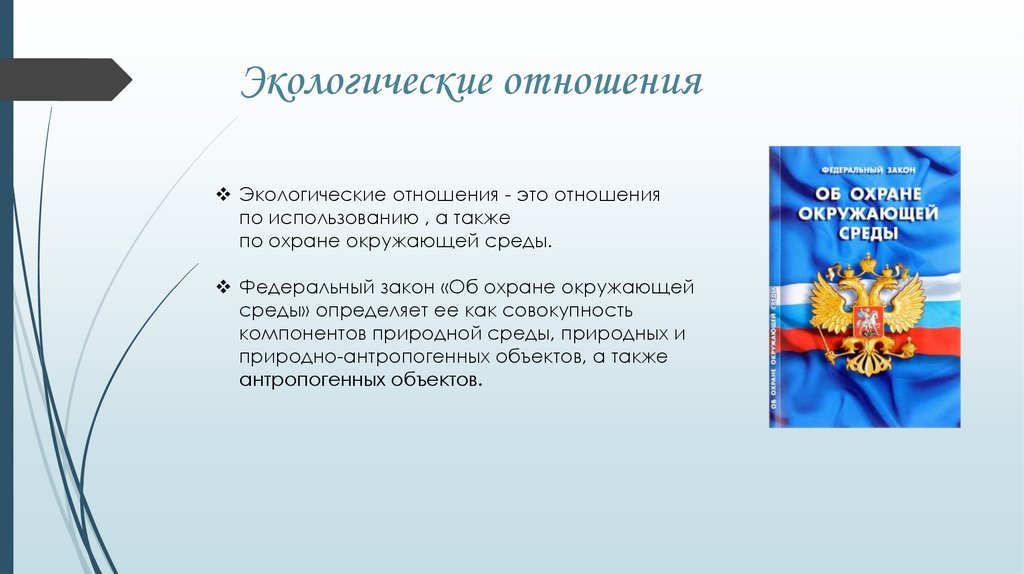 Составьте рассказ о реализации права на благоприятную окружающую среду используя следующий план впр