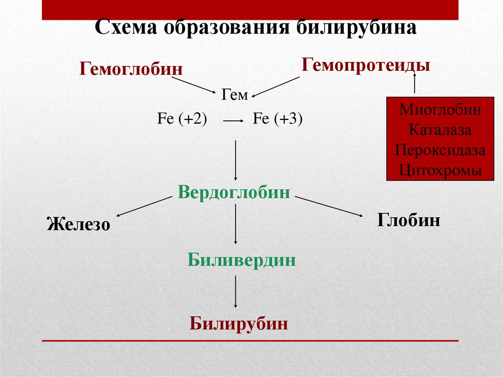 Желчные пигменты это