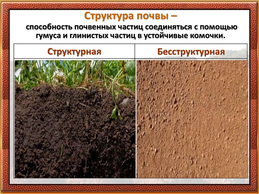Какая структура почва благоприятна для сельскохозяйственных растений. Комковато-зернистая структура почвы. Структура почвы. Бесструктурная почва. Структурная почва.