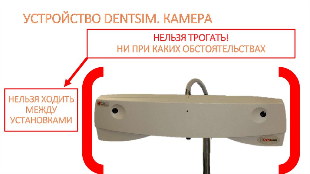УСТРОЙСТВО DENTSIM. КАМЕРА