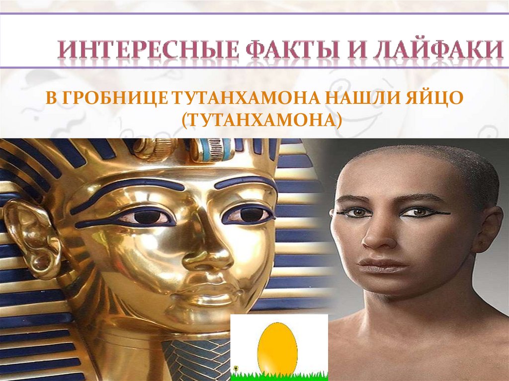 Интересные факты и лайфаки