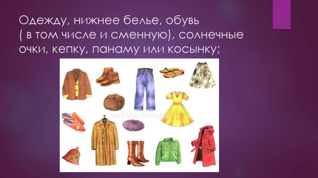 Одежду, нижнее белье, обувь ( в том числе и сменную), солнечные очки, кепку, панаму или косынку;