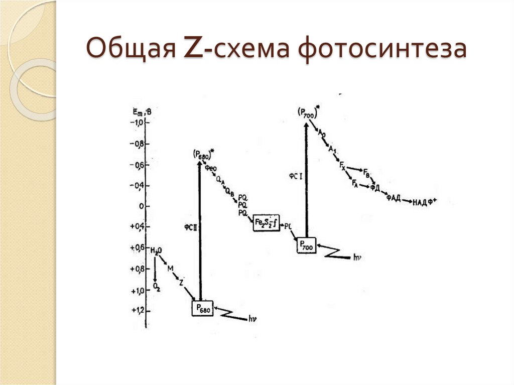 Kxf28l z схема подключения