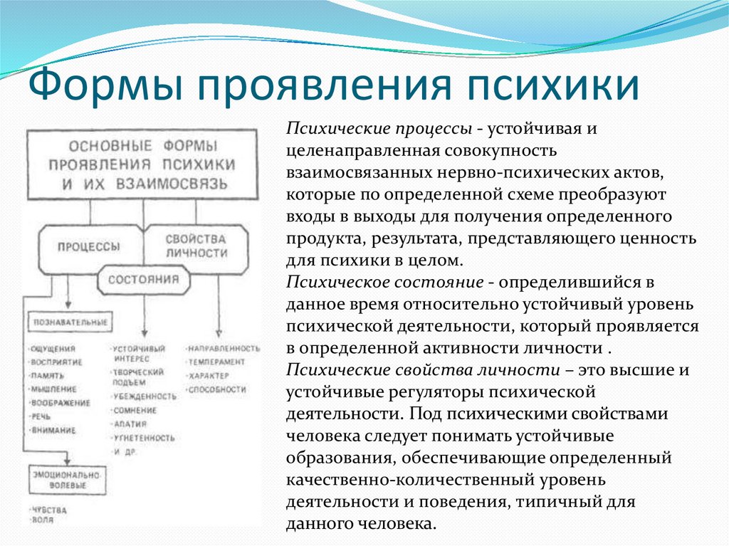 Понятие психологического процесса. Структура психики психические процессы психические состояния. Формы проявления психики схема. Формы проявления психики психические явления. Формы проявления психики и их взаимосвязь схема.