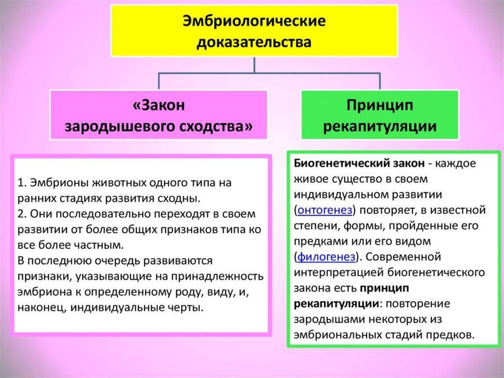 Фактом доказывающим существование эволюционного процесса является наличие. Эмбриологические доказательства эволюции. Эмбриологические доказательства примеры. Эмбриологические эмбриологические доказательства эволюции. Эмбриологические Дока.