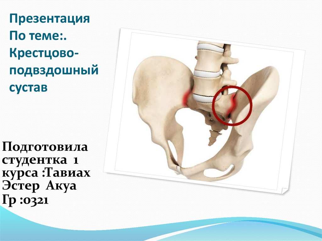 Подвздошные сочленения где находится