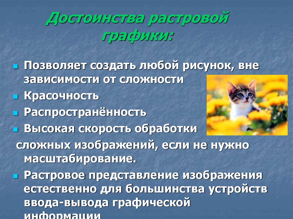 Достоинство растрового изображения это