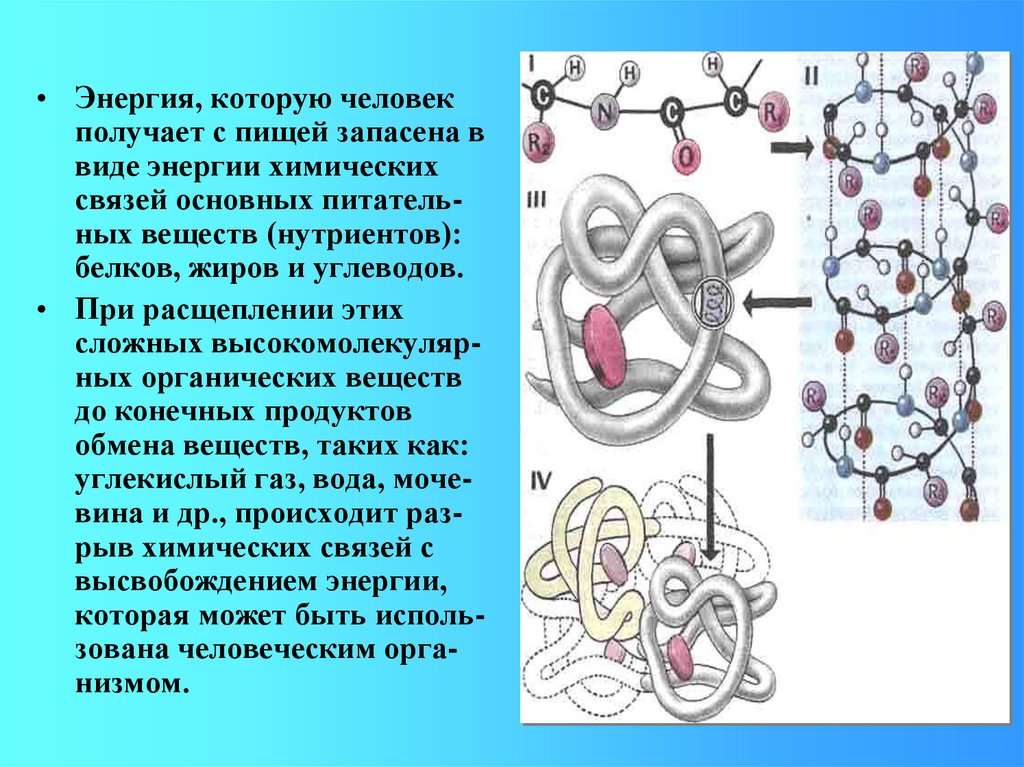 Энергия химической связи. Рациональный дизайн белков.