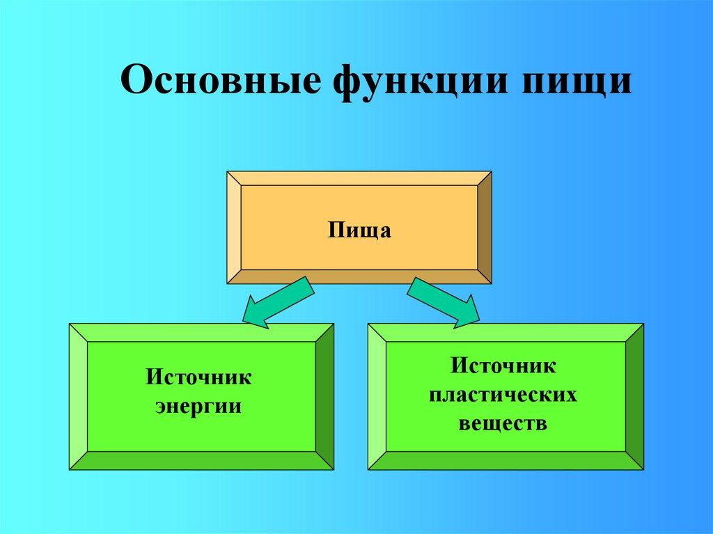 Функции пищи презентация