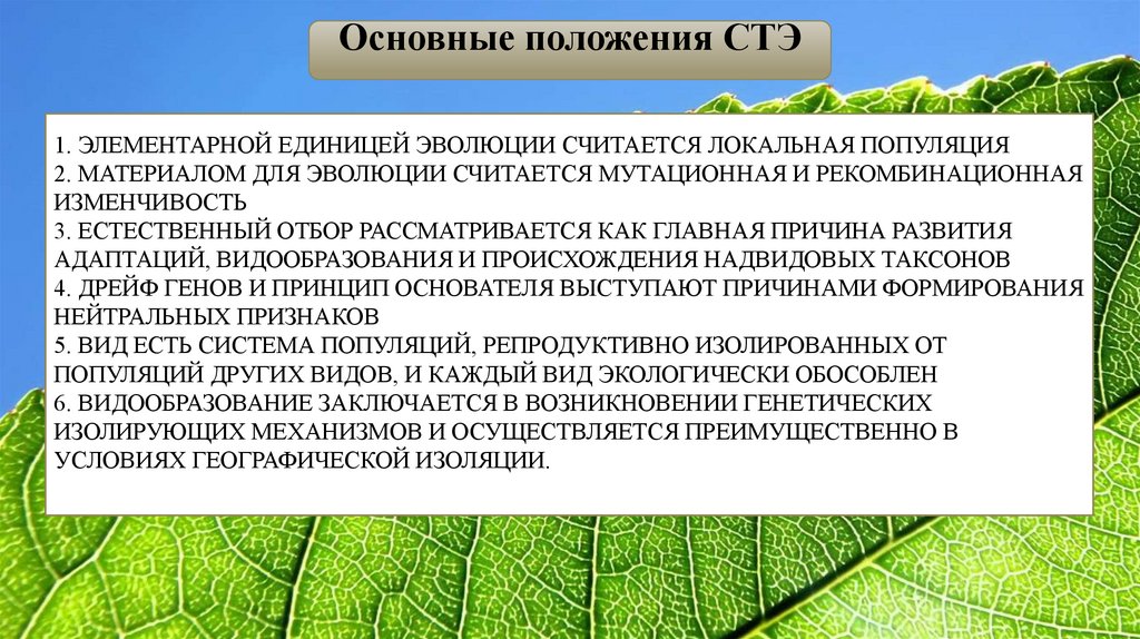 Согласно синтетической теории эволюции элементарным. Синтетическая теория эволюции.