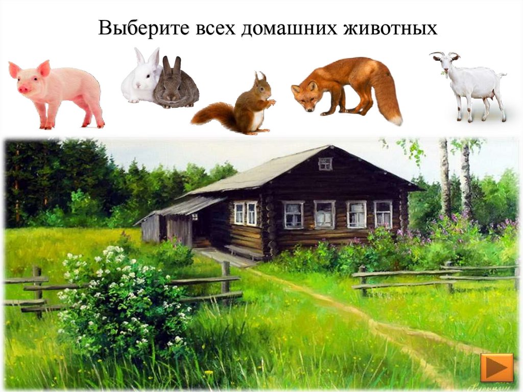 Интерактивная игра дикие домашние животные. Игра "дикие/домашние животные". Интерактивная игра домашние животные для дошкольников. Интерактивная игра дикие домашние животные. Кто чем питается дидактическая игра.