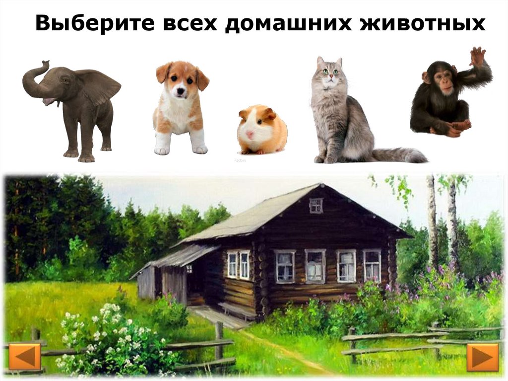 Интерактивная игра домашние животные презентация