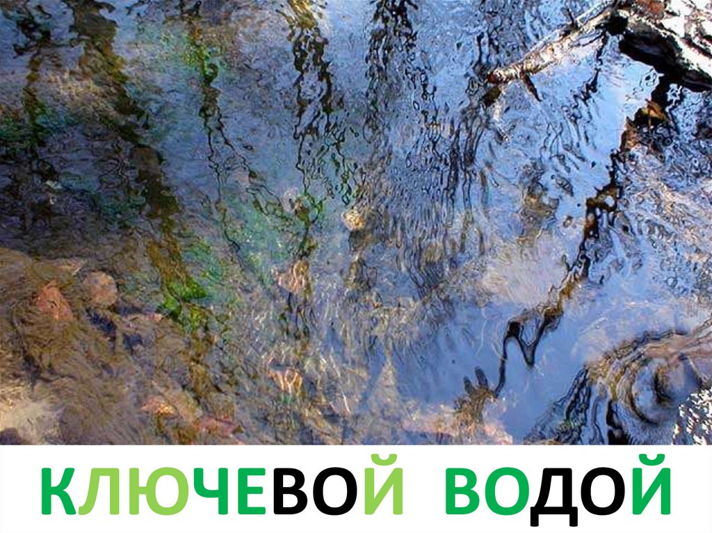 Ключевой водой