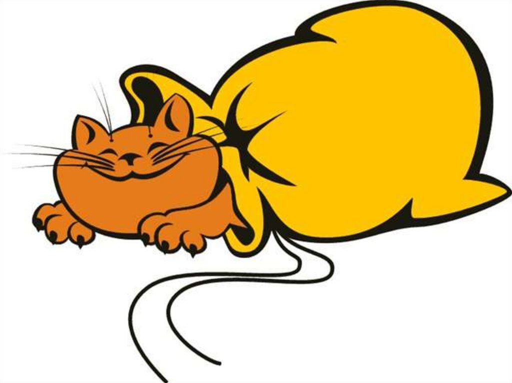 К принципам физического воспитания относятся: