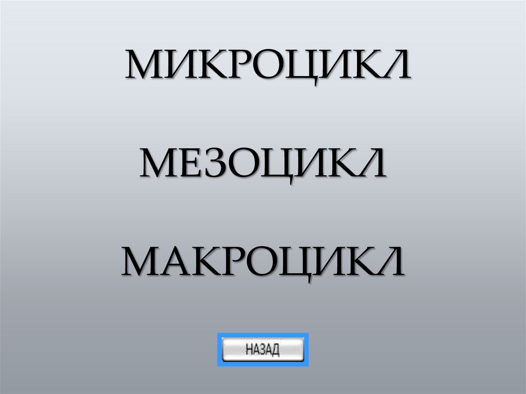 МИКРОЦИКЛ МЕЗОЦИКЛ МАКРОЦИКЛ