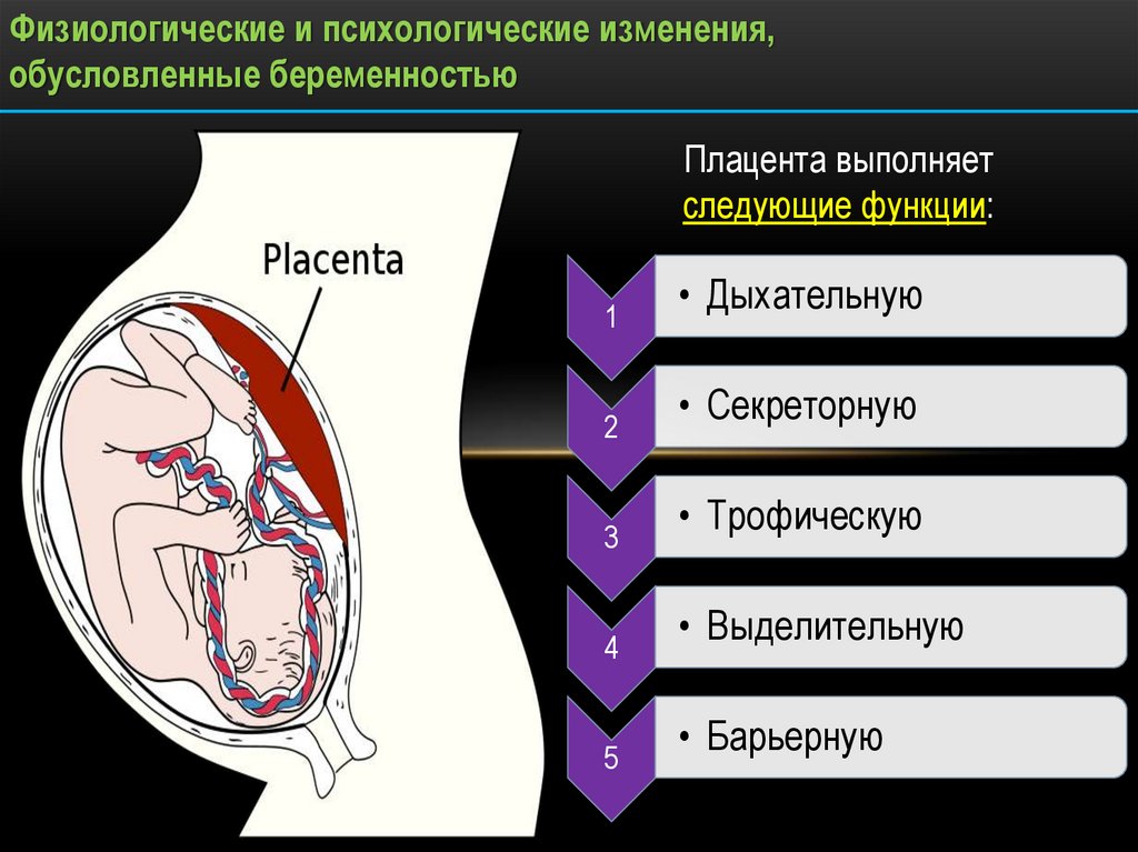 Физиологическая беременность и физиологические роды. Физиология беременности. Физиологическая беременность. Физиологическая беременность презентация. Физиология беременности кратко.
