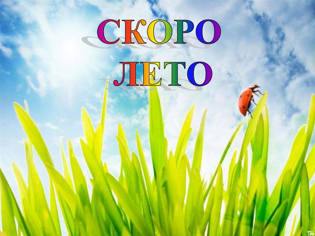 Картина скоро лето