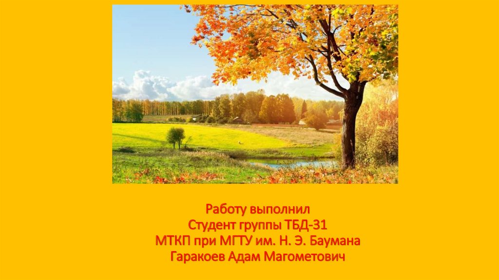 Работу выполнил Студент группы ТБД-31 МТКП при МГТУ им. Н. Э. Баумана Гаракоев Адам Магометович