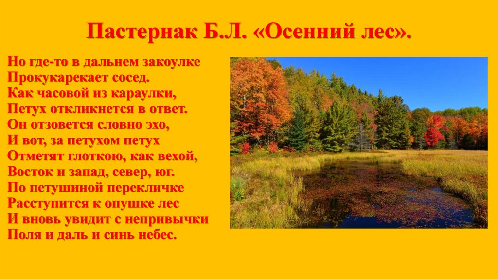 Пастернак Б.Л. «Осенний лес».
