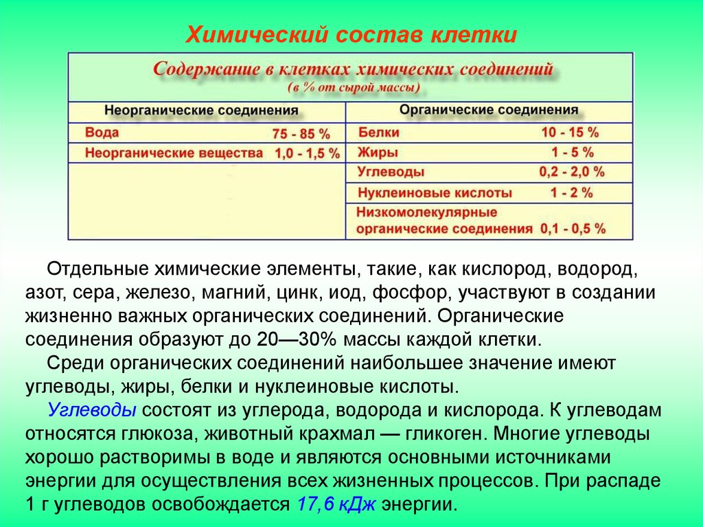 10 химический состав. Хим состав клетки. Углеводы в хим составе клетки. Химический состав клетки биология. Вещества в составе клетки.