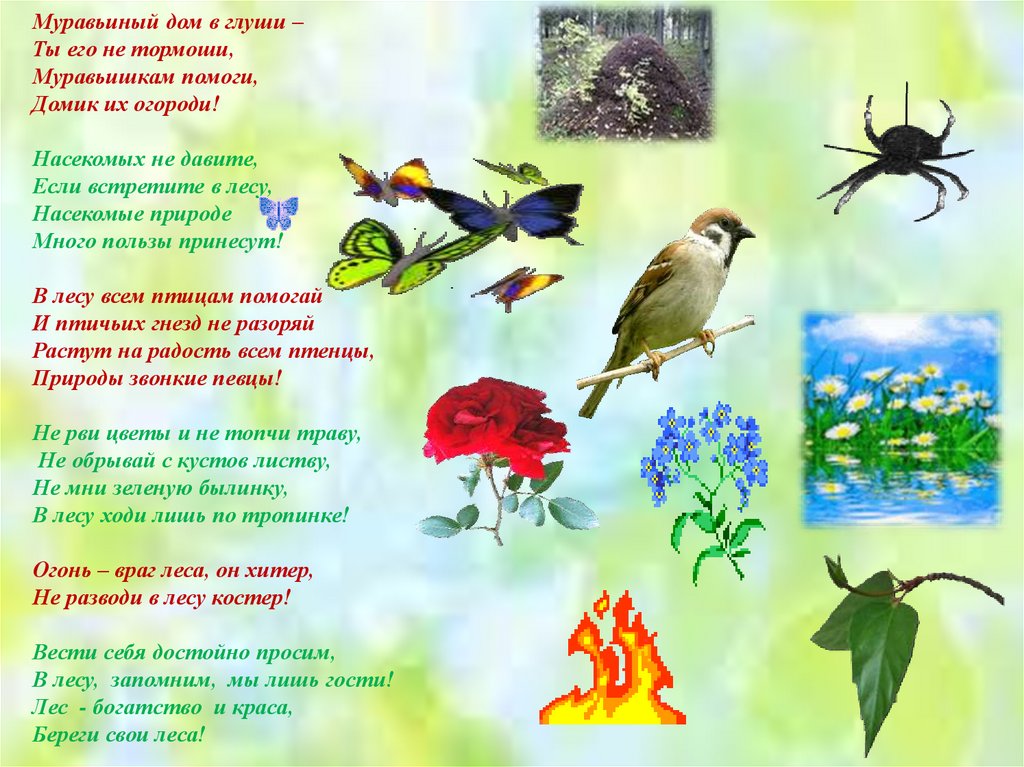 Загадки про природные. Стихи о природе для детей. Загадки природы. Стихи и загадки о природе. Загадки о природе для дошкольников.