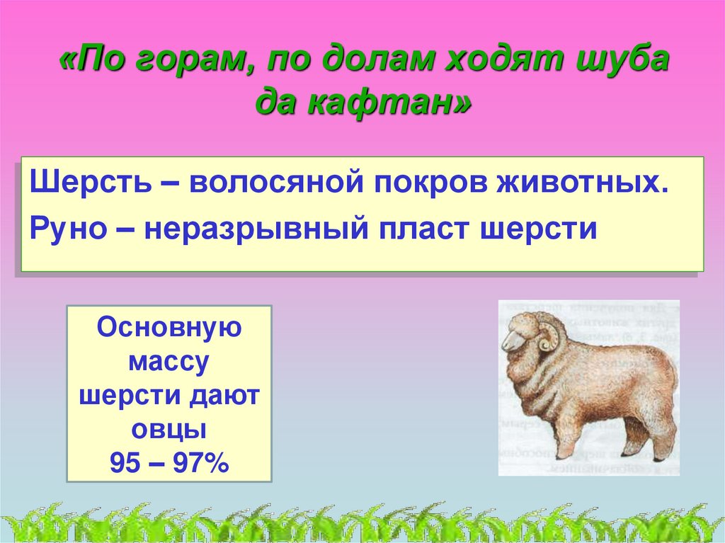 Загадка по горам по долам ходит. Неразрывный пласт шерсти овцы. По горам по долам ходит шуба да кафтан. Животный вес шерсти. По горам по долам ходит шуба да кафтан ответ на загадку.