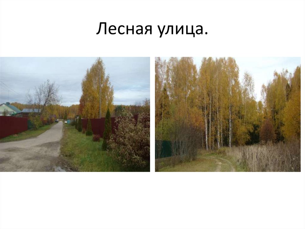 Лесная улица.
