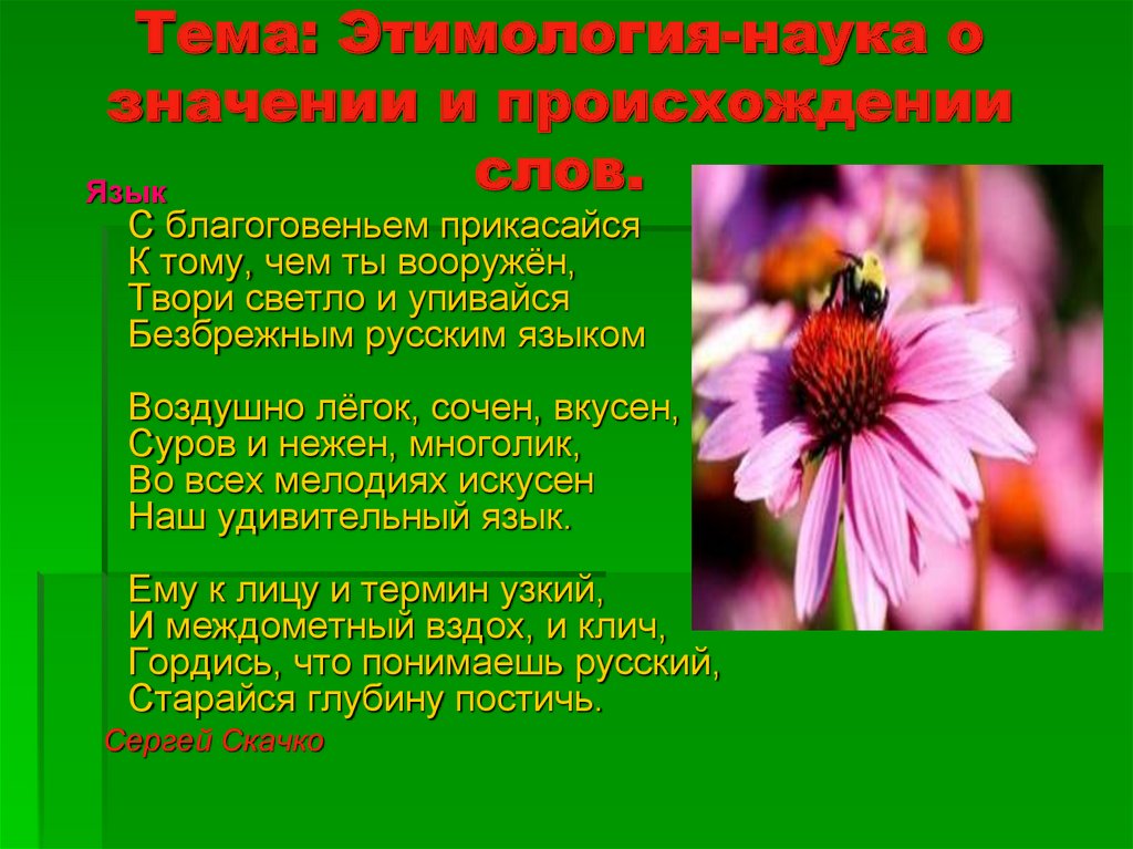 Наука о значении слов. Благоговение происхождение слова. Благоговение лексическое значение. Благоговеть Толковый словарь.