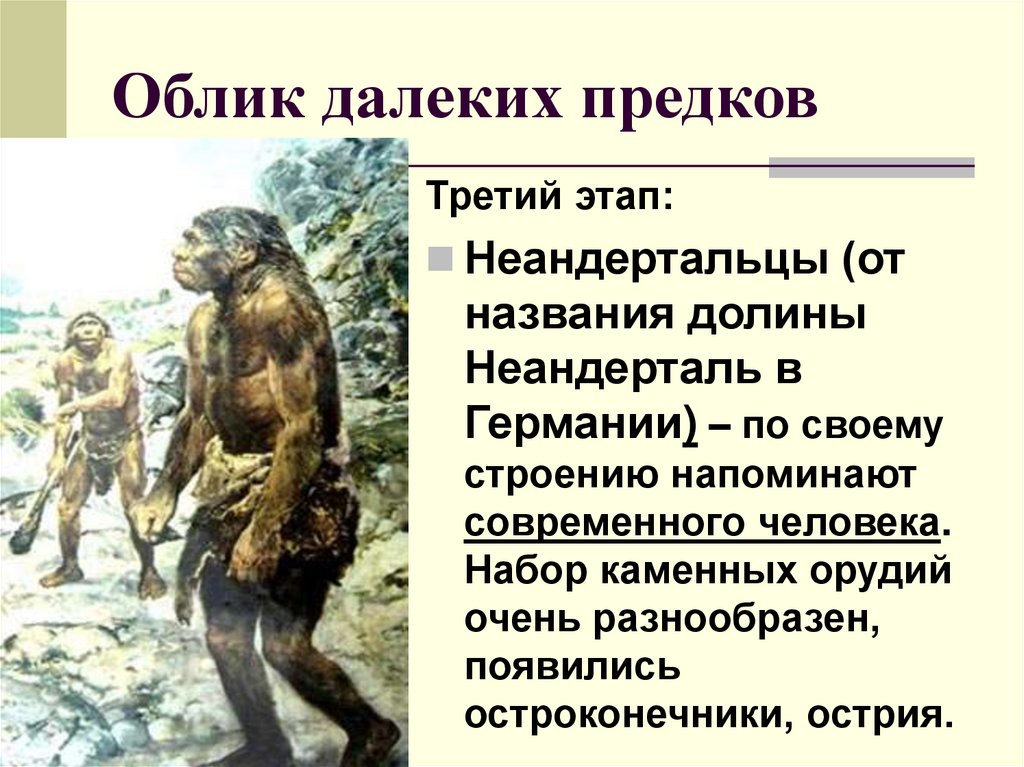Примеры древнейших людей