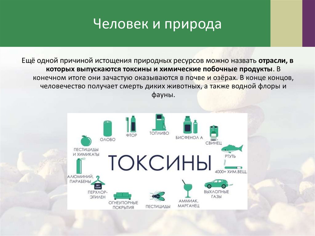 Человек и природа