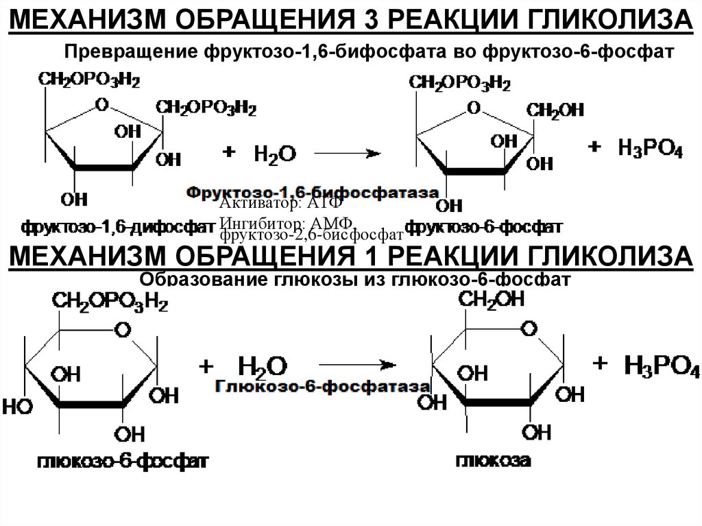 И глюкоза и фруктоза реагируют с. Реакции образования фруктозо-6-фосфата. Реакция превращения глюкозо-6-фосфат в фруктозо - 1,6 - дифосфат. Превращение фруктозо-1,6-бисфосфата во фруктозо-6-фосфат.. Глюкозо 6 фосфат фруктоза 6 фосфат.