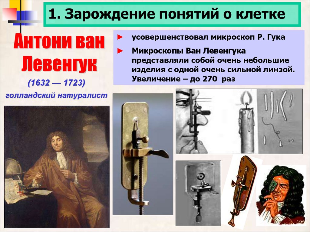 Клеточный уровень. Основные положения клеточной теории - online ...