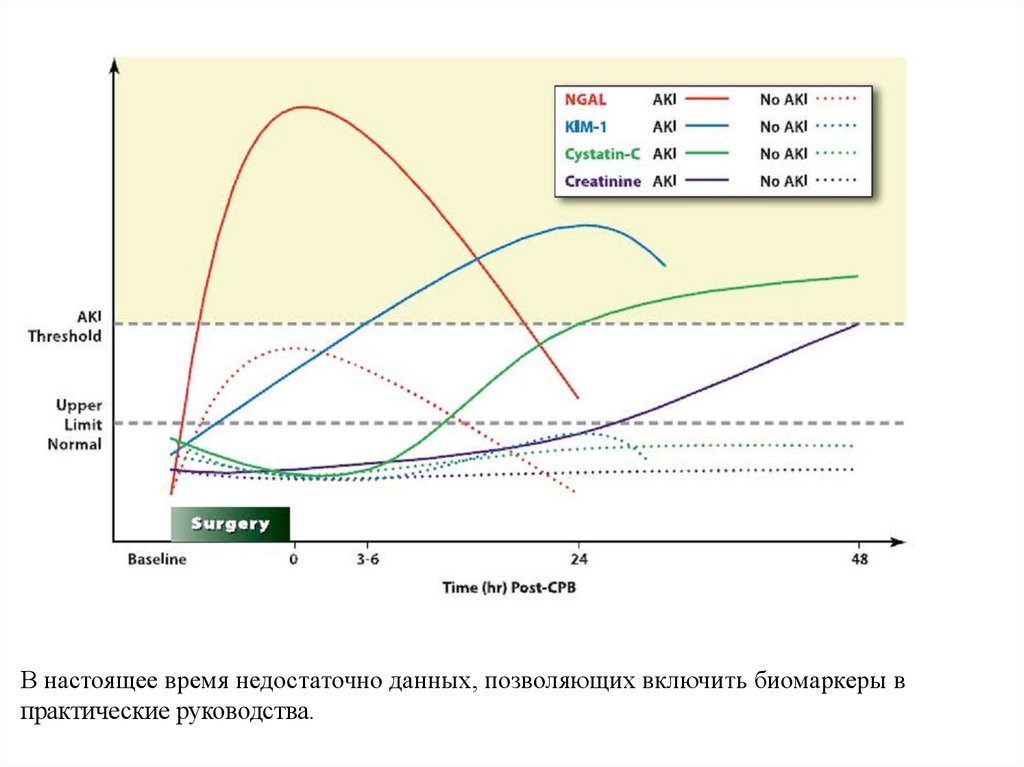 Недостаточно данных для изображения pdf