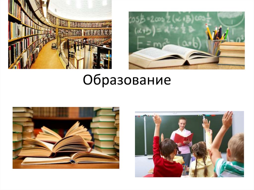 Образование 8