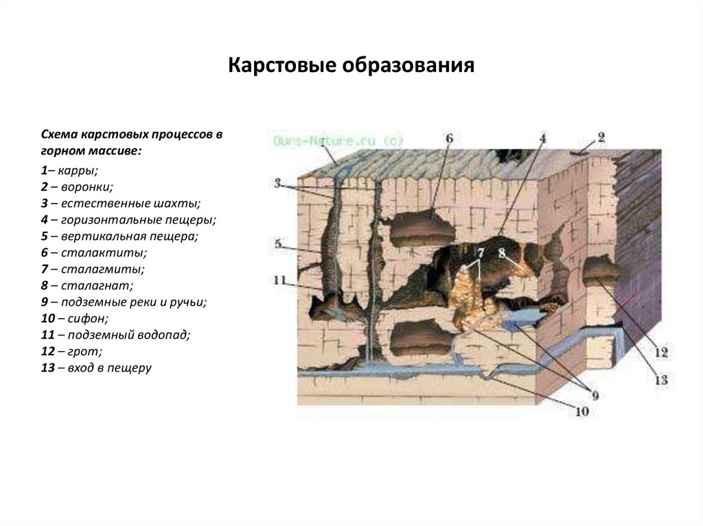 Процесс образования карстовых пещер. Карстовые процессы. Карстовые образования. Схема образования карстовых пещер. Подземные карстовые формы.