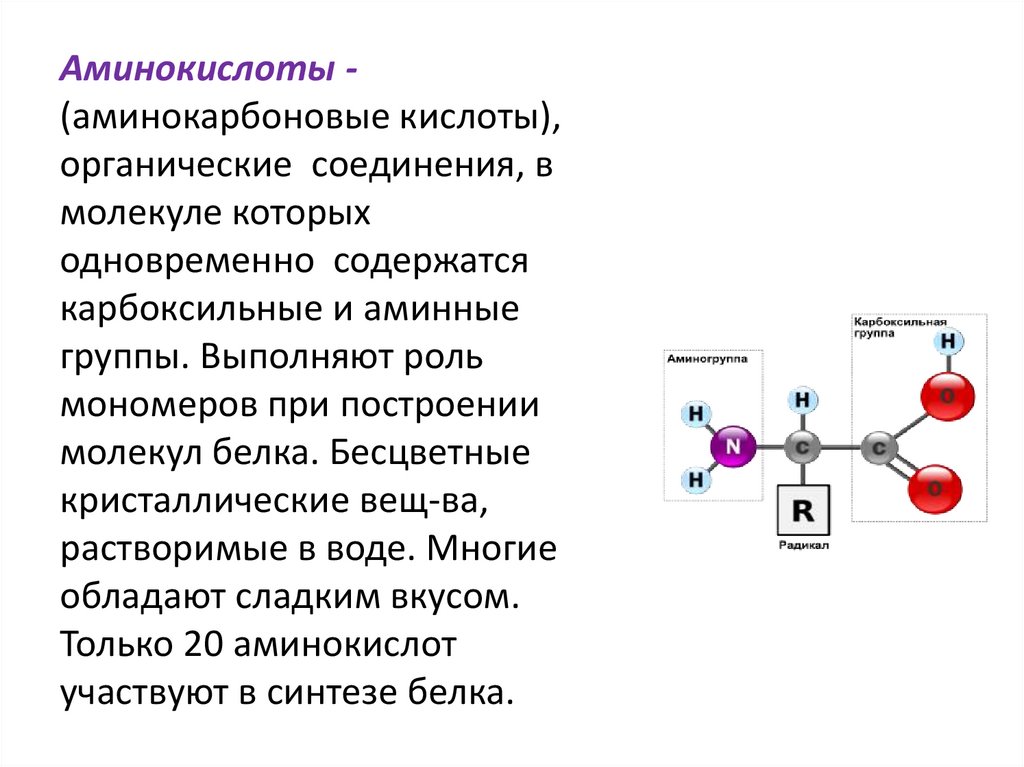 Аминокислоты пептиды. Альфа аминокислоты и бета аминокислоты. Аминокарбоновые кислоты. Аминокислоты участвующие в синтезе белка.