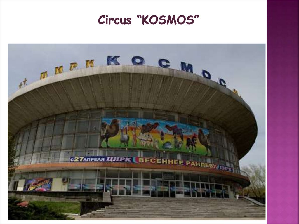 Circus “kosmos”