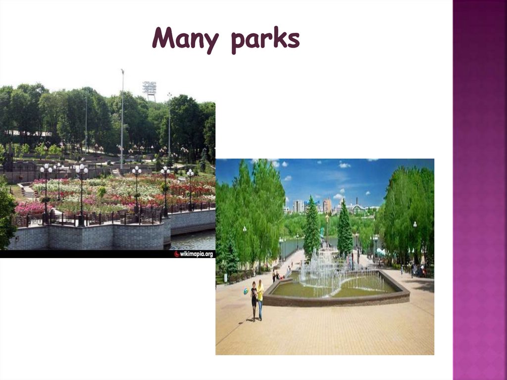Many parks
