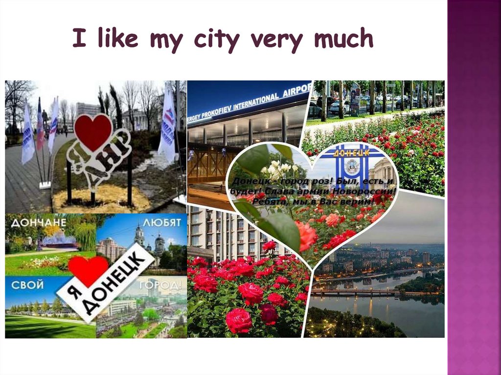 I like my city very much