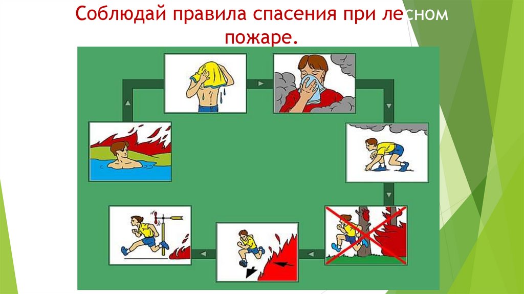 Всероссийский урок по основам безопасности жизнедеятельности презентация