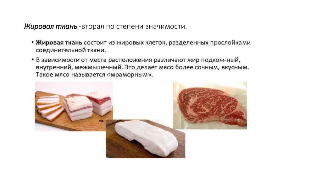 Мясо мдк. Характеристика основных тканей мяса.