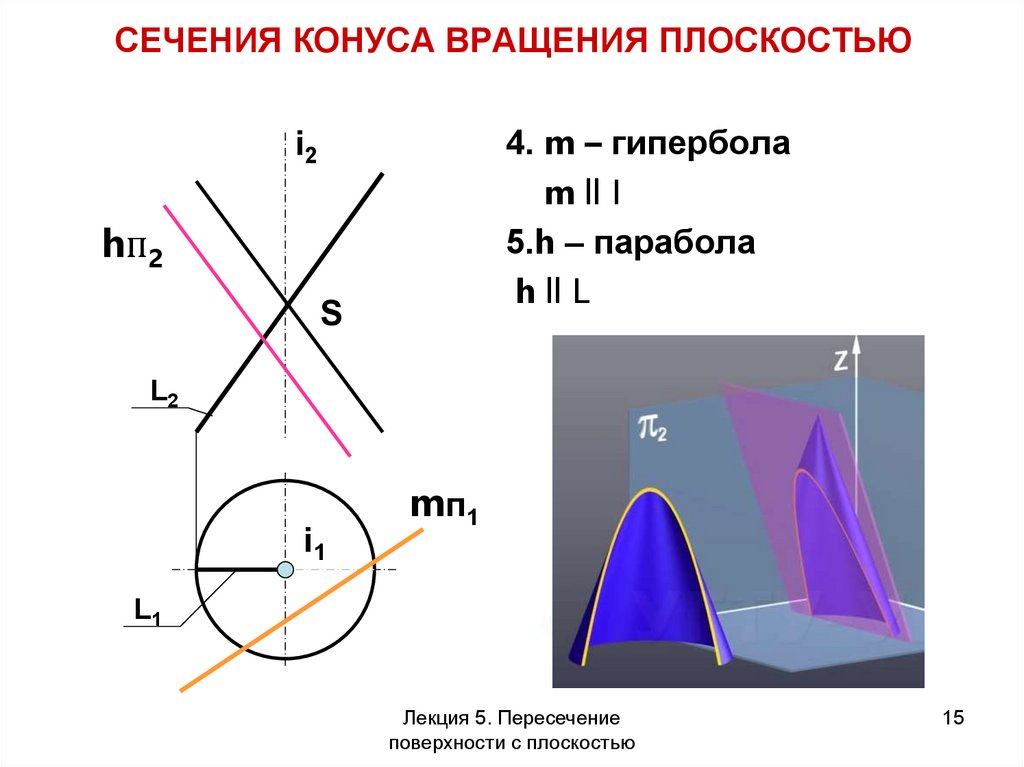 Сечение поверхности конуса. Сечение поверхности вращения плоскостью. Сечение конуса Гипербола. Сечения конуса вращения. Сечение конуса вращения плоскостью.