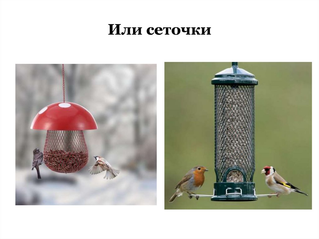 Или сеточки