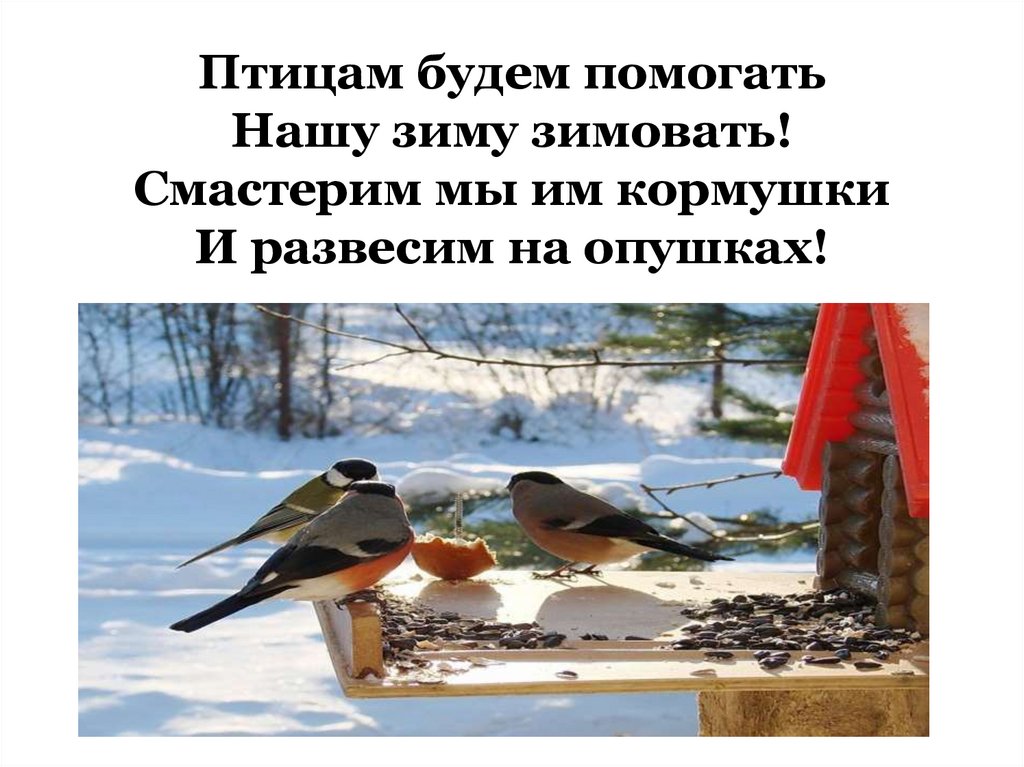 Птицам будем помогать Нашу зиму зимовать! Смастерим мы им кормушки И развесим на опушках!