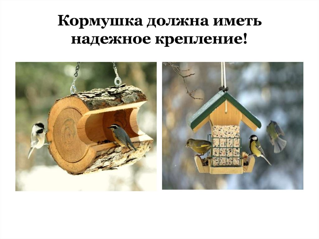 Кормушка должна иметь надежное крепление!
