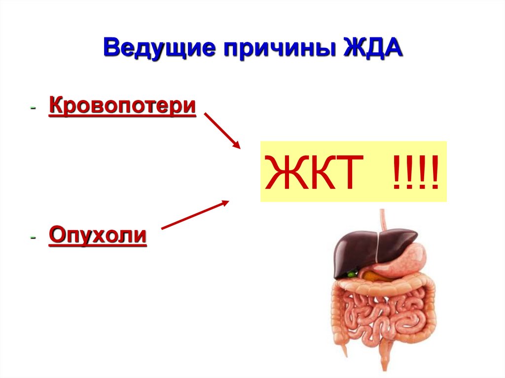 Статистика железодефицитной анемии