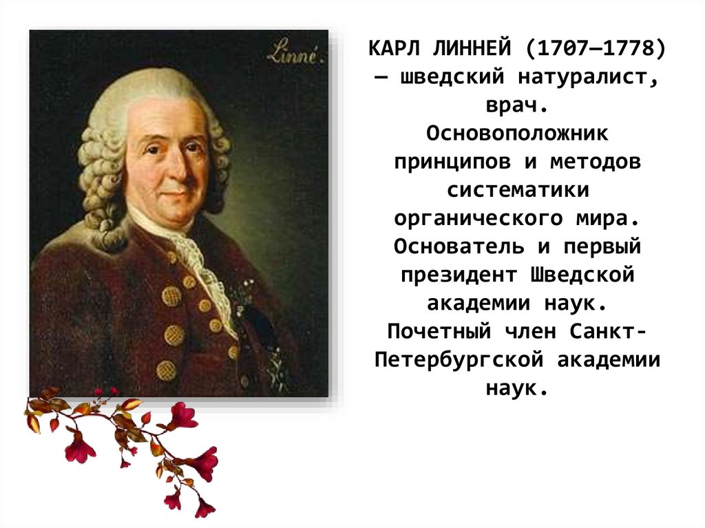 Основоположник систематики. К.Линней - (1707-1778). • Карл Линней (1707-1778), шведский натуралист. КАРЛЛИНЕЙ 1707-1778 заслуги. Ученый Карл Линней.