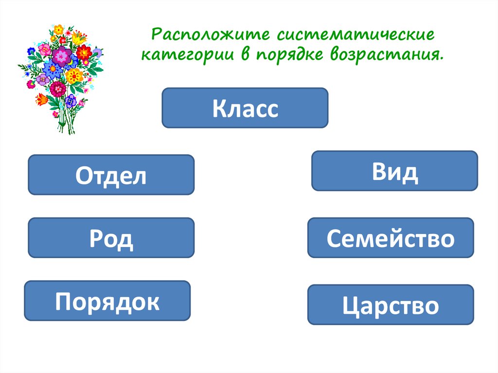 Царство семейство род класс. Систематические категории в порядке возрастания. Расположите систематические категории в порядке возрастания. Систематические таксоны растений в порядке возрастания. Систематика в порядке возрастания.