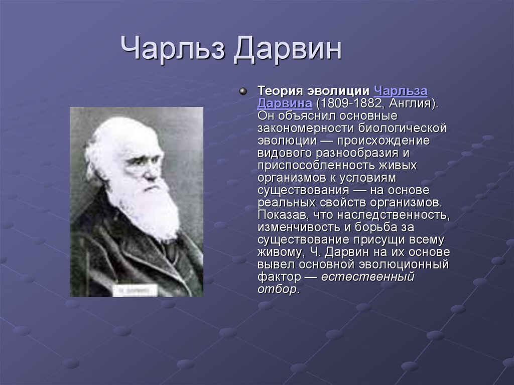Дарвин презентация 9 класс. Научные открытия Чарльза Дарвина.